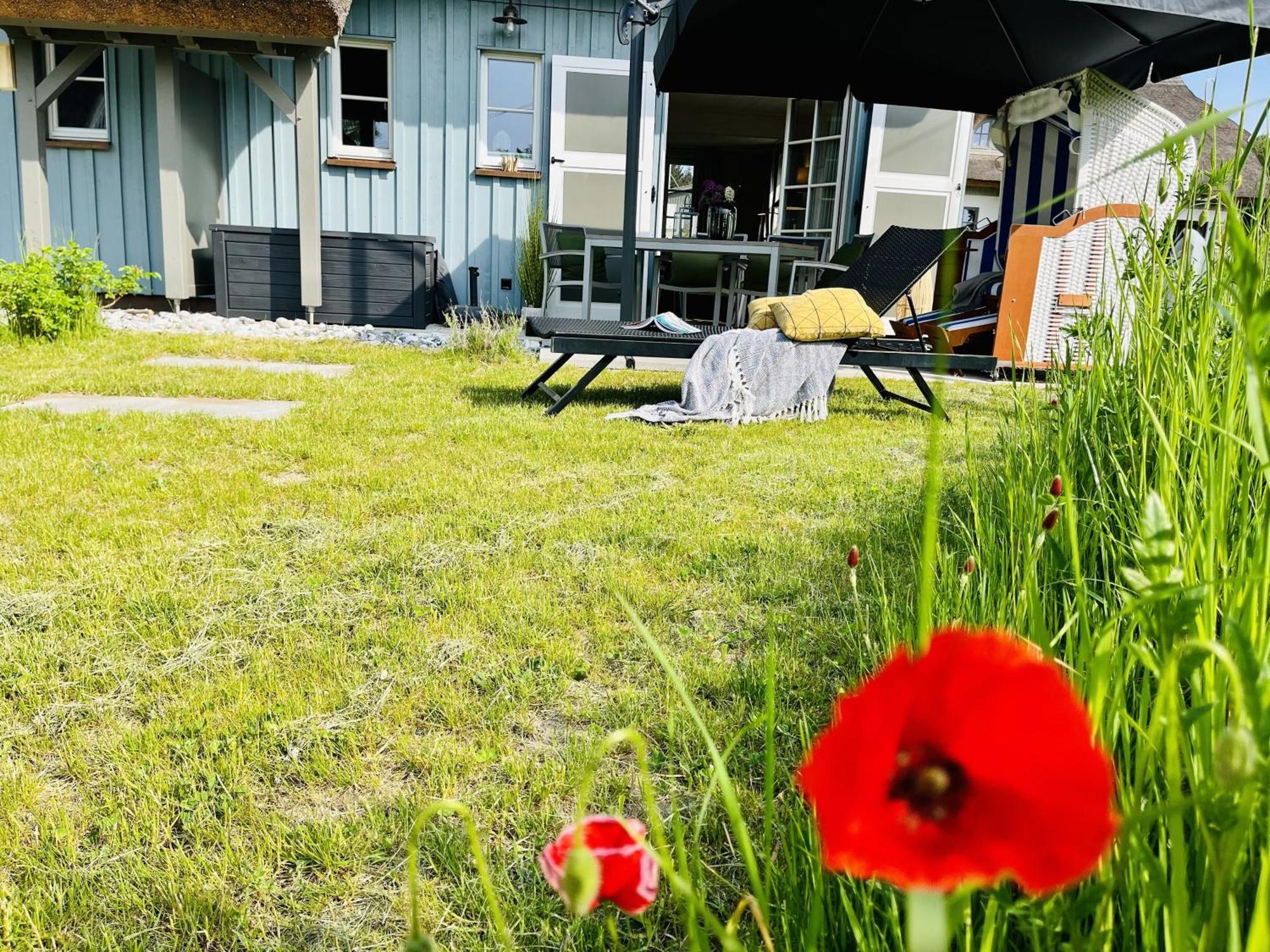 Ferienhaus Strandflieder 05 Feriendorf Klein Stresow Ruegen By Ruyastay Putbus Esterno foto
